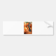 Pumpkin close-up bumper sticker