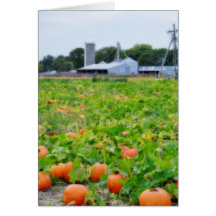 Pumpkin Farm Cards