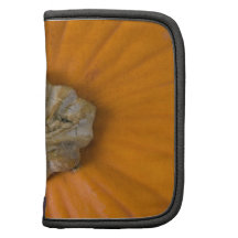 Pumpkin Head Folio Planners