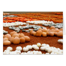 Pumpkin Patch (blank) Greeting Card