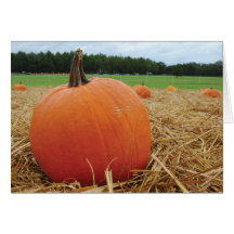 Pumpkin Patch Greeting Card