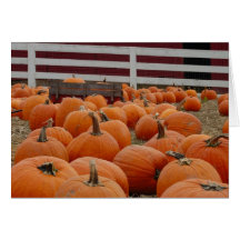 Pumpkin Patch Greeting Cards