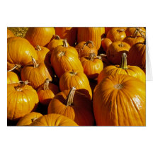 Pumpkin Patch Halloween Card