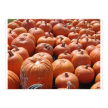 Pumpkin Patch Invitation
