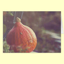 Pumpkin,pumpkin "card" cards