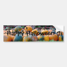 Pumpkins Bumper Sticker