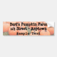 Pumpkins Bumper Stickers