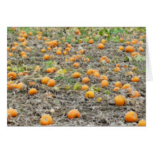 pumpkins greeting card