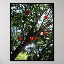 Pumpkins in the Tree Poster