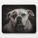 PUP MOUSEPADS