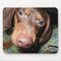puppies mouse pad
