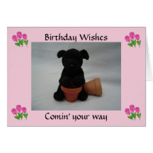 Puppy birthday wishes greeting cards