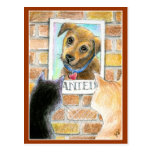 Puppy dog, cats, "Wanted" poster post card