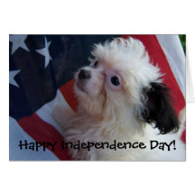 Puppy - Happy Independence Day! Card