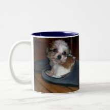 Puppy in a slipper. coffee mugs