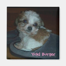 Puppy in slipper photograph on a magnet.