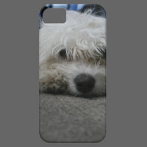 Puppy iPhone Case casemate cases