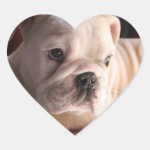 Puppy Love Heart Stickers