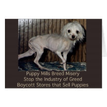 Puppy Mills Breed Misery Card