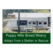 Puppy Mills Breed Misery Card