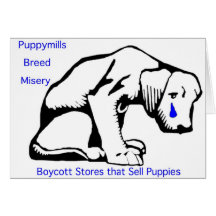 Puppy Mills Breed Misery Card