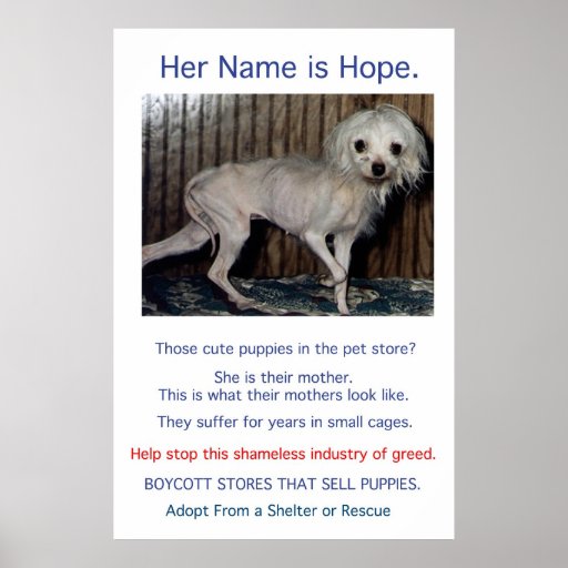 Puppy Mills Breed Misery Poster