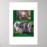 Puppy Mills Breed Misery Poster