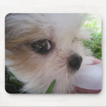 puppy mousepad mousepads
