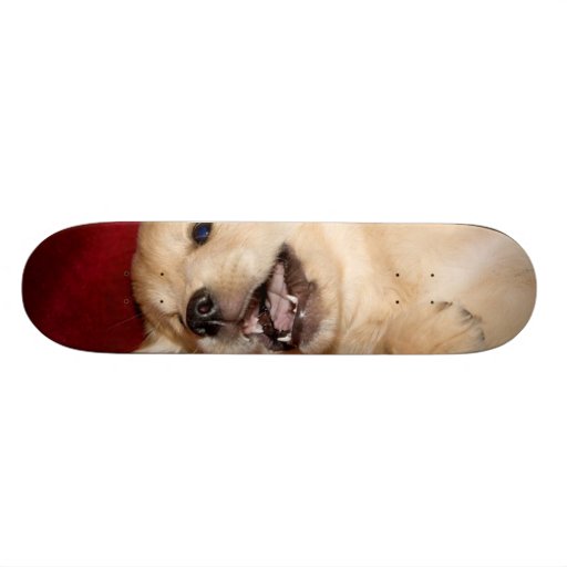 puppy skateboard