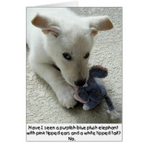 Puppy with plush animal in denial. card