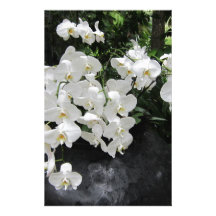 Pure prefection White flowers, Stationery