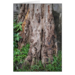 Purity in life be like Nature Card