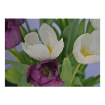 Purple and White Tulip Invitation