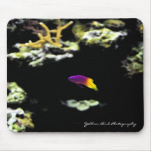 Purple and Yellow Fish Mousepad