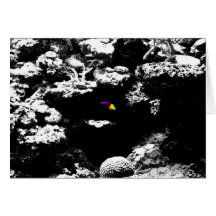 Purple and Yellow Fish Notecard