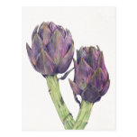 Purple Artichokes Postcard
