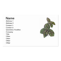 Purple Basil Business Card Template