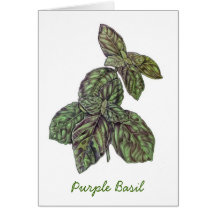 Purple Basil Greeting Card