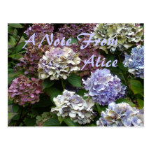 "Purple Blue Hydrangeas"  Custom Notes Post Card