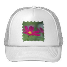 Purple Cosmos Baseball Hat