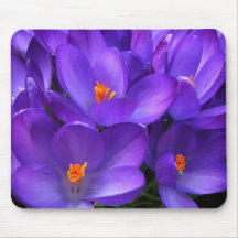 Purple crocus mousepad