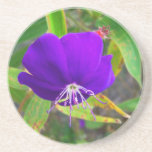 purple flower against green plant design beverage coaster