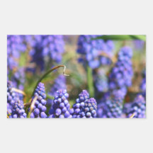 Purple Flower Delight Stickers