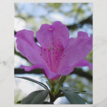 Purple Flower Personalised Flyer