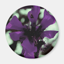 Purple Flower Thing Fridge Magnets