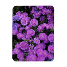 Purple Flowers Flexible Magnet