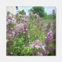 Purple Flowers Fridge Magnet