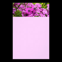 Purple Flowers from San Francisco Stationery stationery