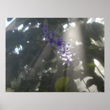 Purple Flowers in the Mist Print
