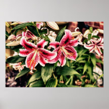 Purple Flowers Posters